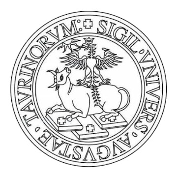 Portfolio - Impianti Elettrici per Università degli Studi di Torino